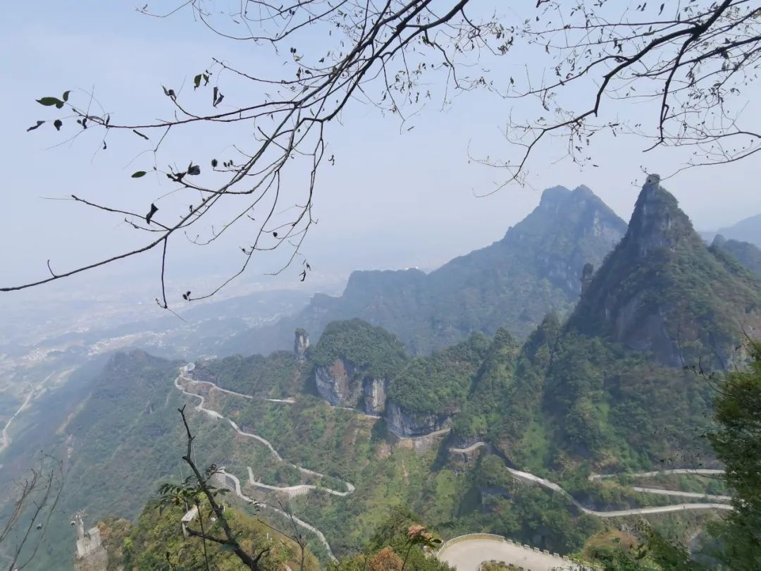 微信圖片_20230209163751.jpg 微信圖片_20230209163751.jpg